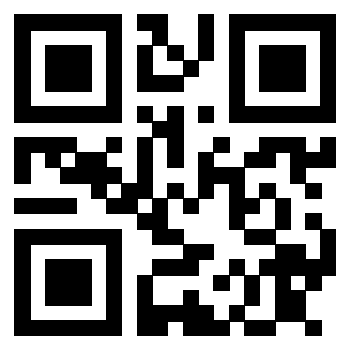 Il Qr Code di 3913075612