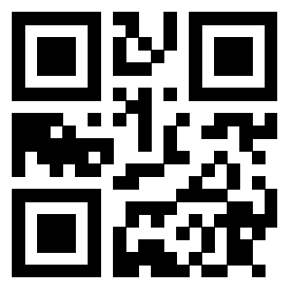 Il Qr Code di 3913075624