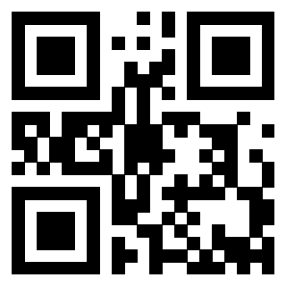 Il Qr Code di 3913075652
