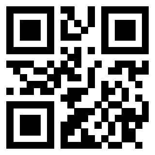 3913075691 - Immagine del QrCode