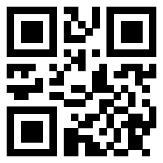 Il Qr Code di 3913075719