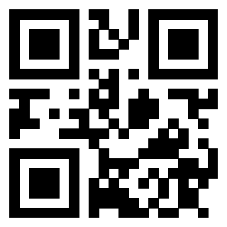 Il Qr Code di 3913088574