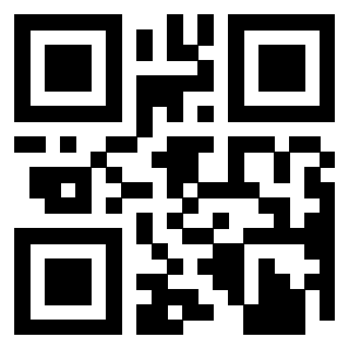 Il Qr Code di 3913088589