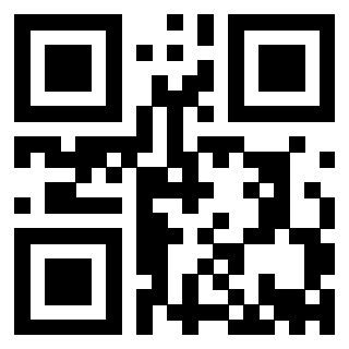 Il Qr Code di 3913088655