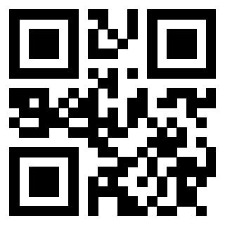 Il Qr Code di 3913088731