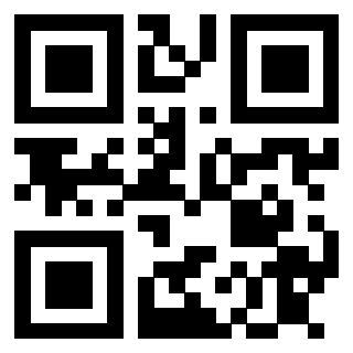 QrCode di 3913088766