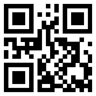 Il Qr Code di 3913088771