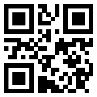 Il Qr Code di 3913088862