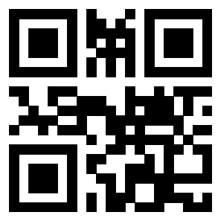 Il Qr Code di 3913088923