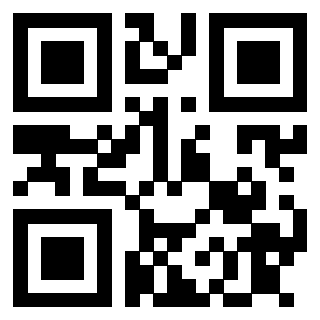 Il Qr Code di 3913088940