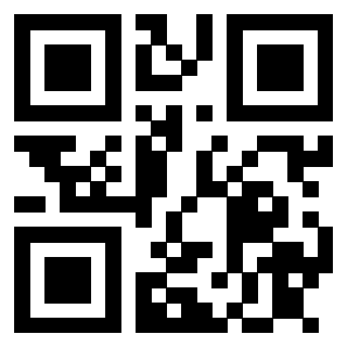 Il Qr Code di 3913089017