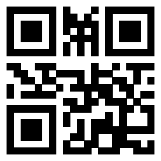 Il Qr Code di 3913089069