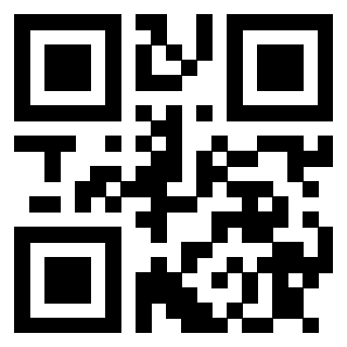 Il Qr Code di 3913089248