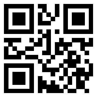 Il Qr Code di 3913089261