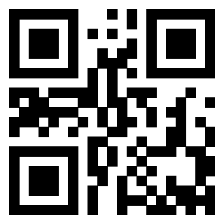 3913089300 QrCode associato