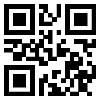 QrCode di 3913089317