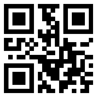 QrCode di 3913089341