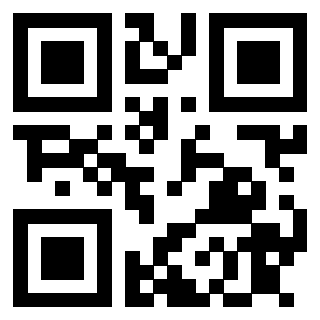 3913089344 - Immagine del QrCode associato