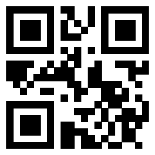 Il Qr Code di 3913089491