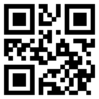 3913089531 QrCode associato