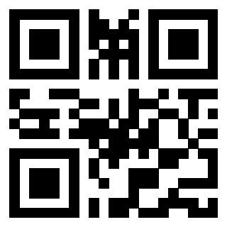 3913103042 QrCode associato