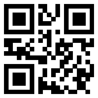 Il Qr Code di 3913103279