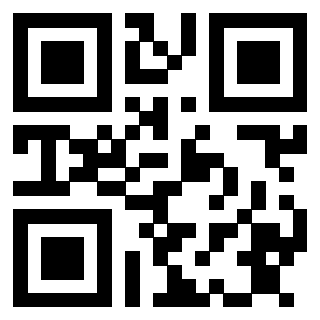 Il Qr Code di 3913103313