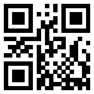 Il Qr Code di 3913103598