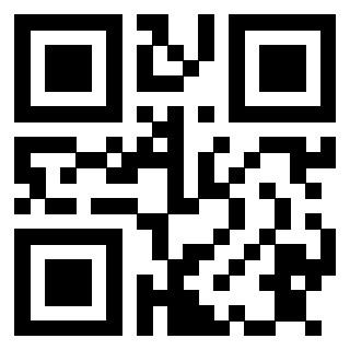 3913104010 QrCode associato