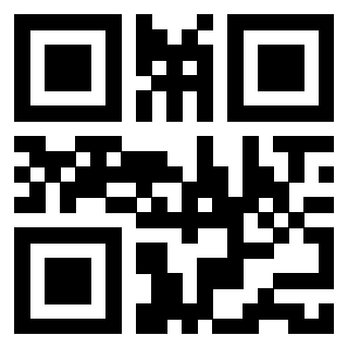 Il Qr Code di 3913153595