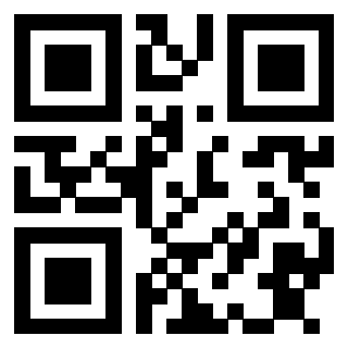 Il Qr Code di 3913153621