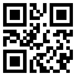 3913153628 QrCode associato