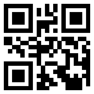 Il Qr Code di 3913153651