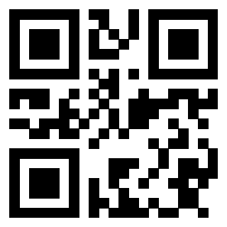 Il Qr Code di 3913153802