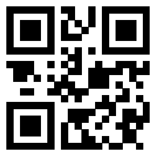 Il Qr Code di 3913153844