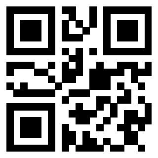 Il Qr Code di 3913153848