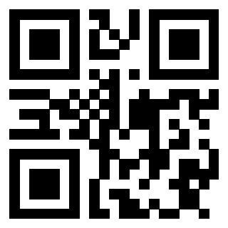 Il Qr Code di 3913153855