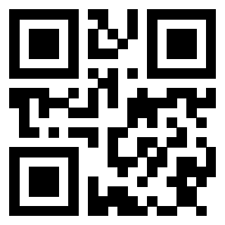 Il Qr Code di 3913153869
