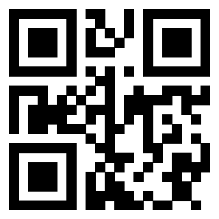Il Qr Code di 3913153876