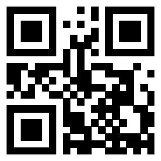 Il Qr Code di 3913153882
