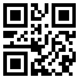 Il Qr Code di 3913154070