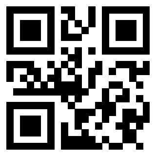 Il Qr Code di 3913154165