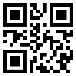 Il Qr Code di 3913154382