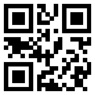 Il Qr Code di 3913154463