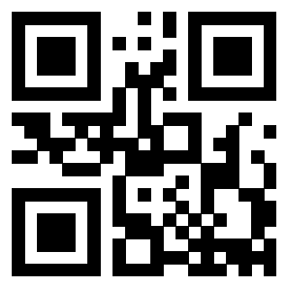 Il Qr Code di 3913154544
