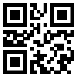 Il Qr Code di 3913159752