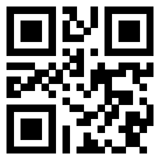 Il Qr Code di 3913159871