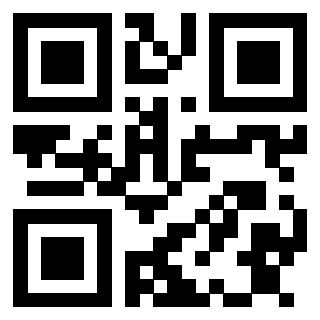 Il Qr Code di 3913159881