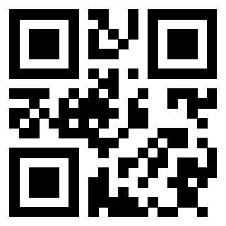 Il Qr Code di 3913159931