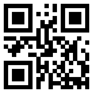 3913160029 - Immagine del Qr Code associato